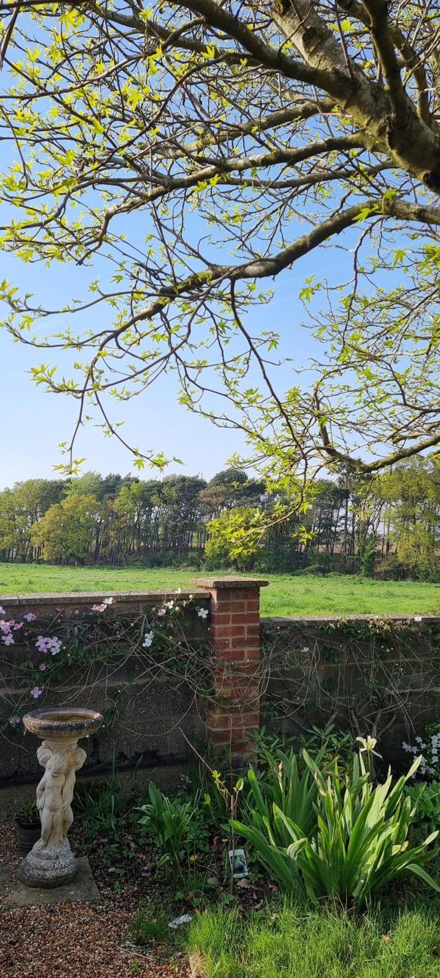 Begonia Cottage Briston Экстерьер фото